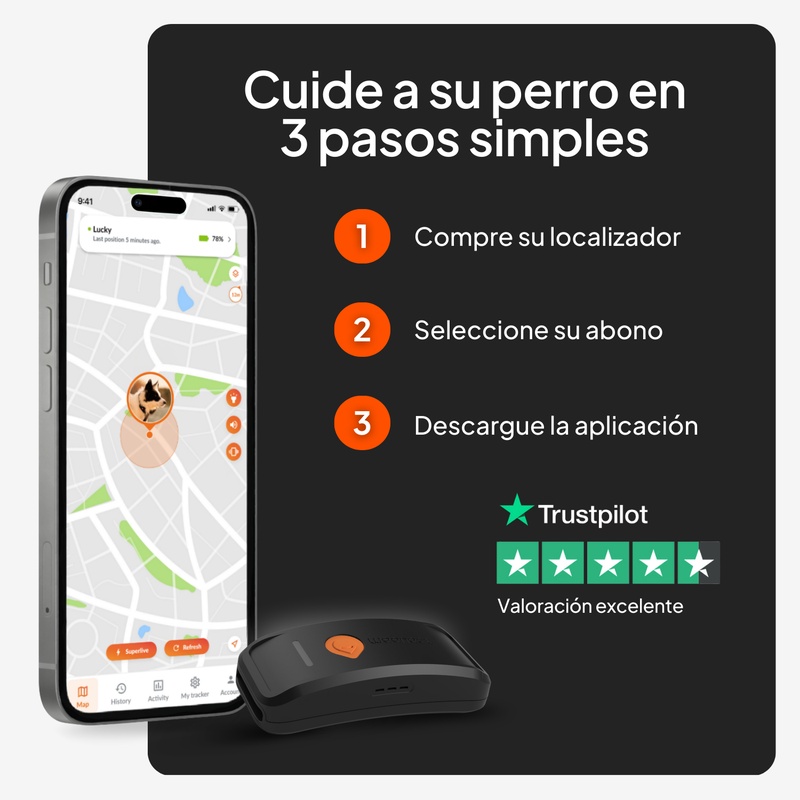 Weenect XT Sans collier Noir ES 2026 8