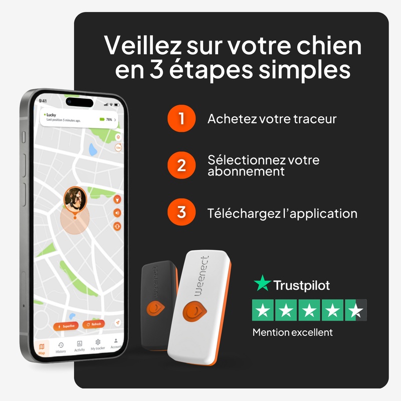 XS Dogs Blanc FR 2026 6