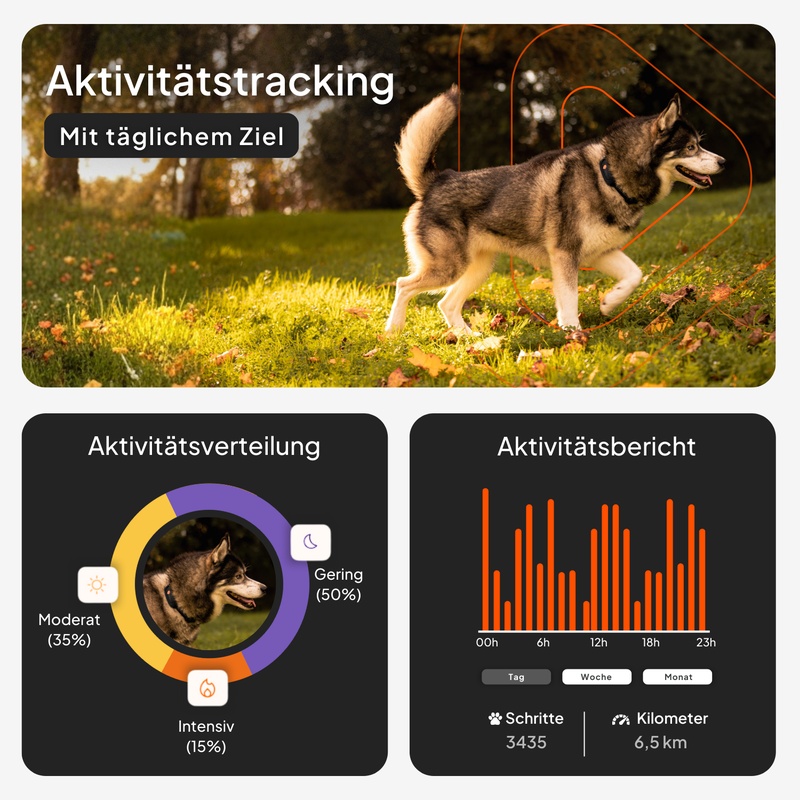 Weenect XT Yellow DE 3