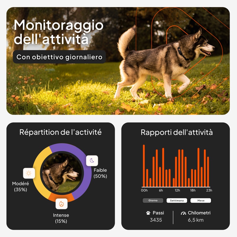 Weenect XT Pink IT 2026 3