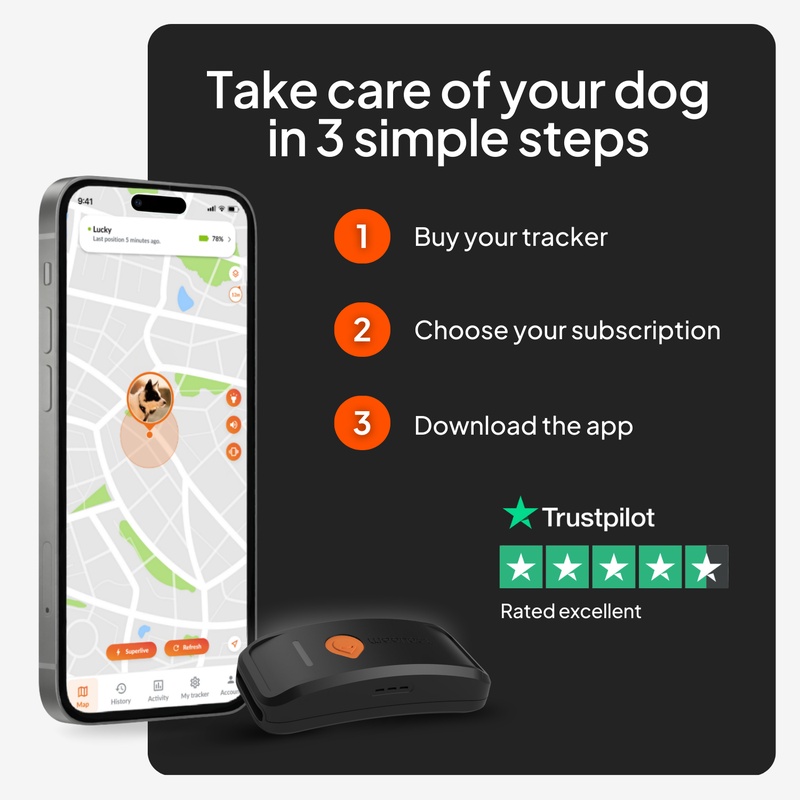 Weenect XT Sans collier Noir UK 2026 8