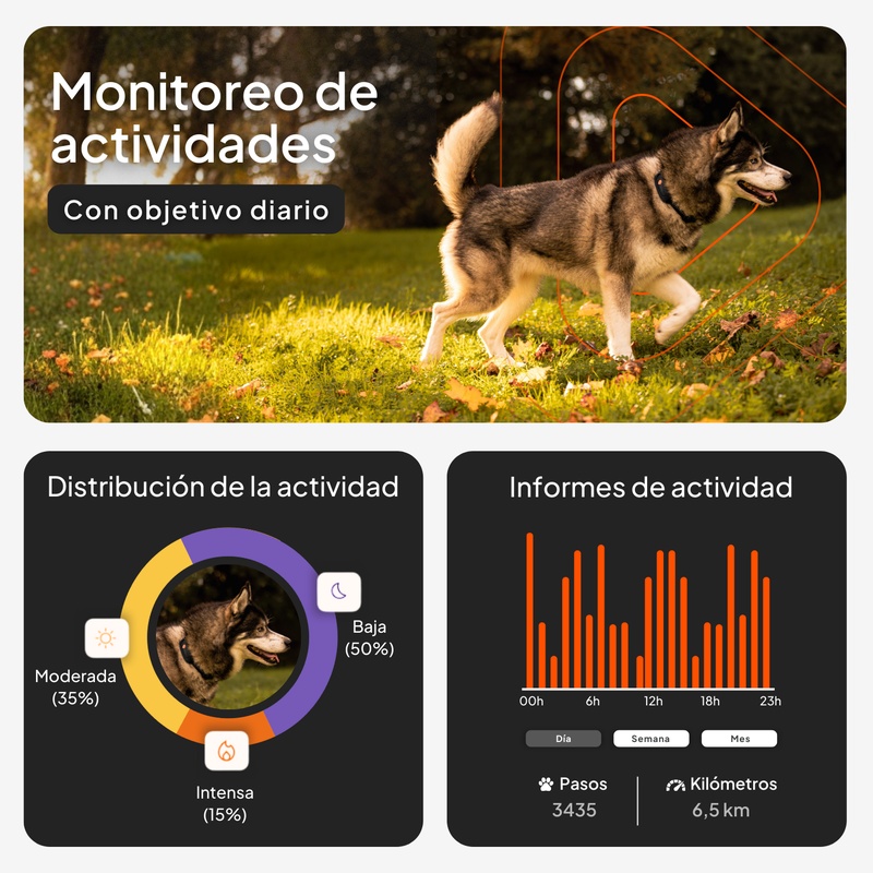 Weenect XT Orange ES 2026  3