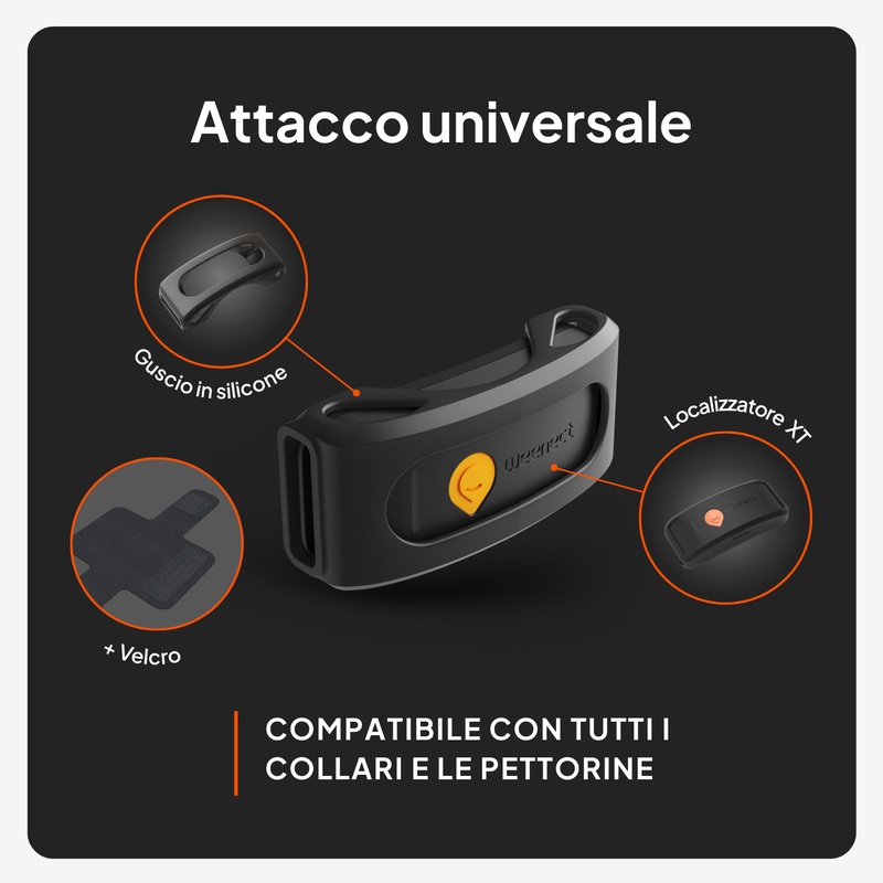 Weenect XT Sans collier Noir IT 2026 6