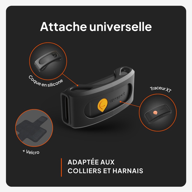 Weenect XT Sans collier Noir FR 2026 6