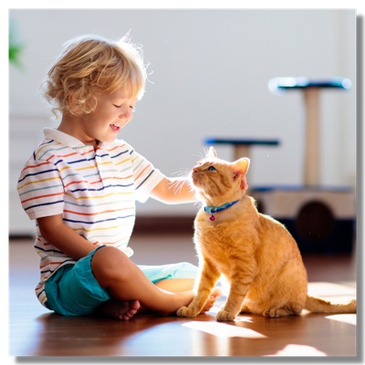 A boy playing with a cat