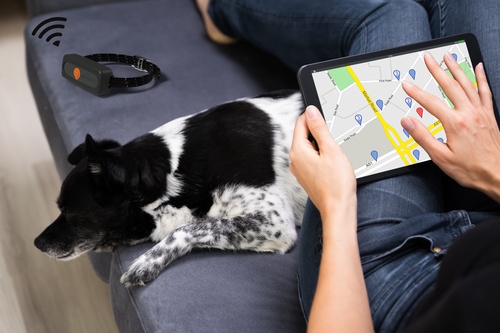 Airtag pourrait il convenir à vos besoins (1)