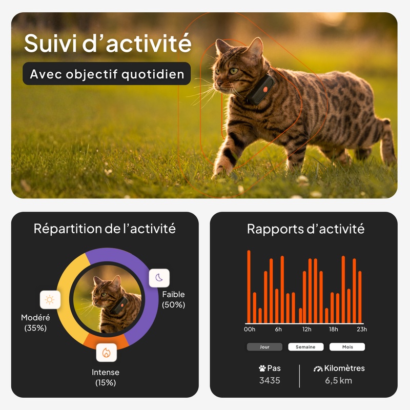 XS cat_gallery_fr_suivi d'activité