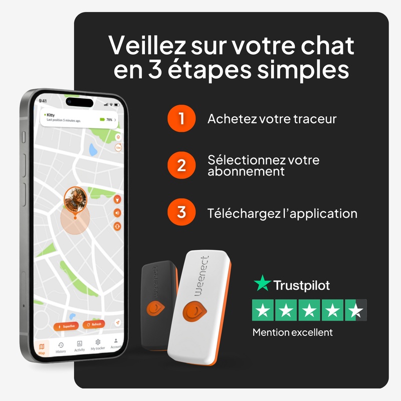 XS cat_gallery_fr_explications