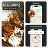 Katze mit dem schwarzen Weenect XS GPS-Halsband, mit Vorschau der Echtzeit-GPS-Ortung und des Standortverlaufs in der App