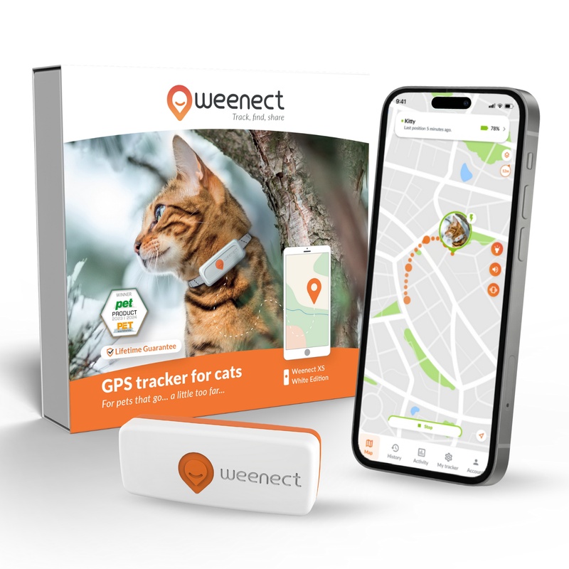 XS Cats - white - uk - gallery - main