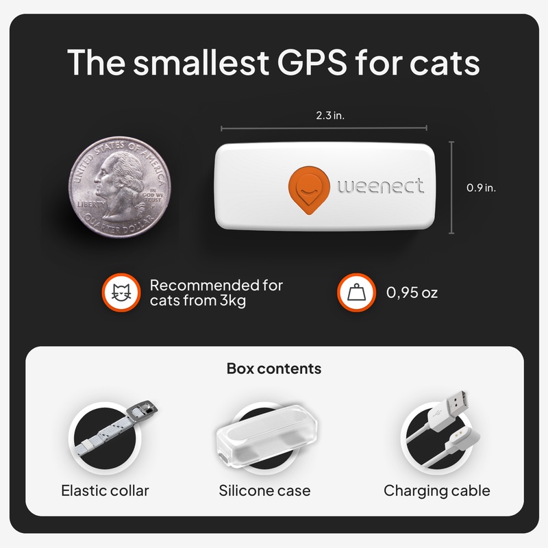 XS cat_gallery_us_white_dollar