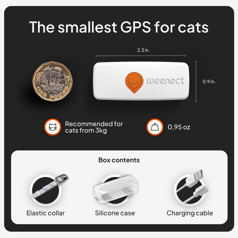 xs cat_white_gallery_uk_pound