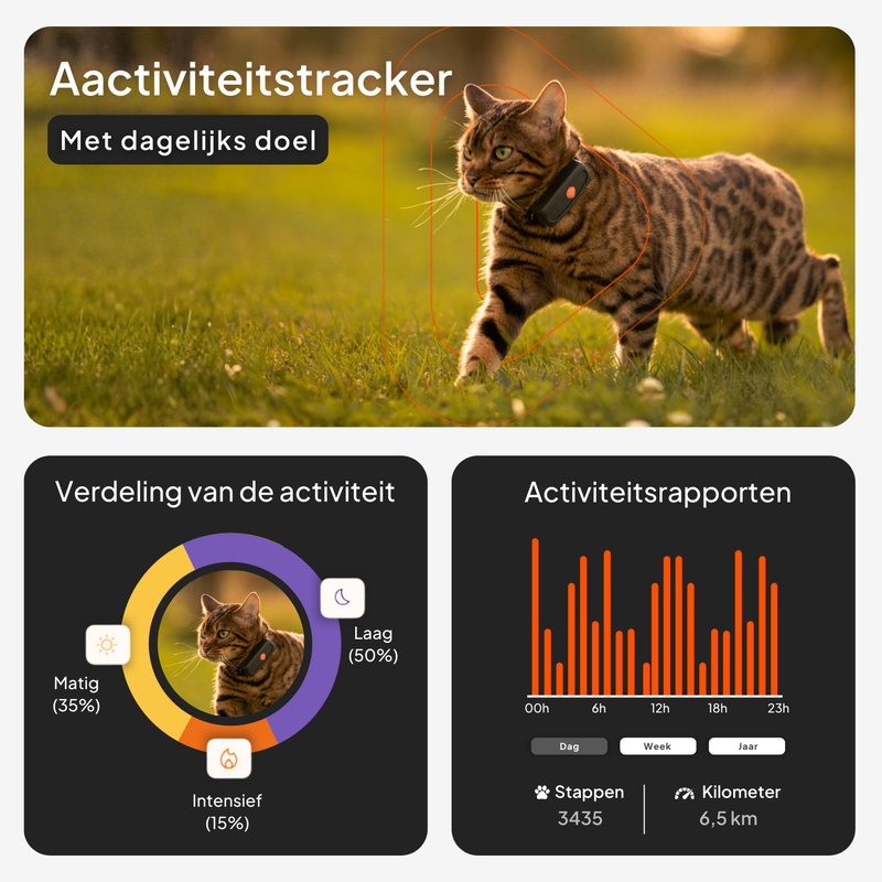 Weenect xs_cat_nl_activity