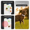 Functies van het zwarte Weenect XS halsband: geluids- en lichtsignaal om terug te roepen, veiligheidszones, en een kat die de tracker buiten draagt