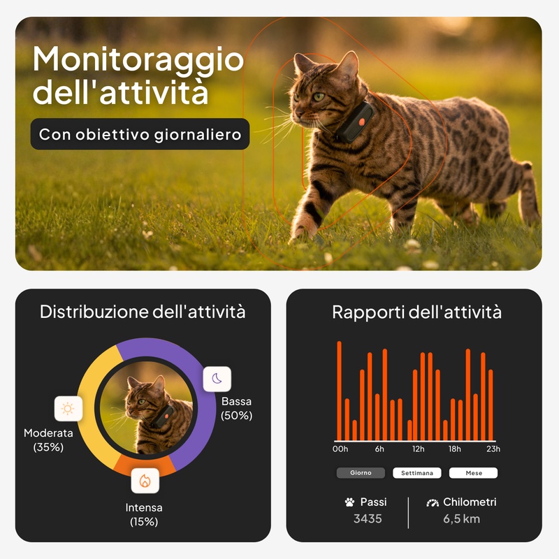 Weenect xs_cat_it_activity