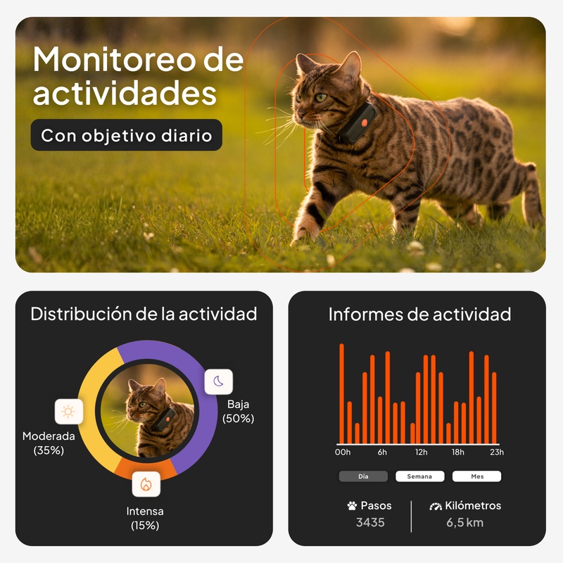 Weenect xs_cat_es_activity