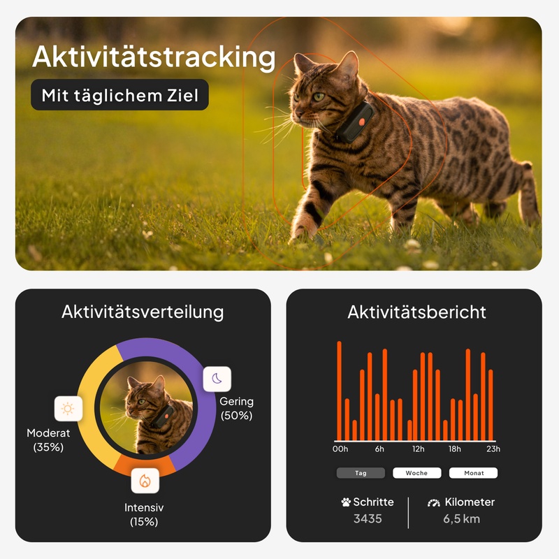 XS cat_gallery_de_tracking