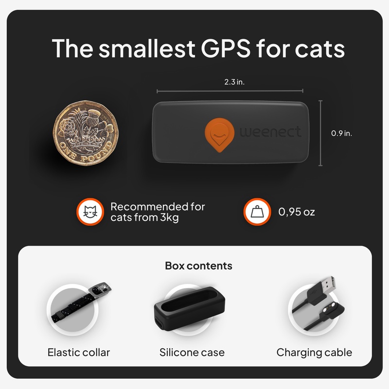 XS cat_gallery_uk_black_pièce