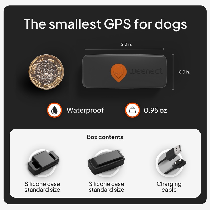 XS Dogs Noir UK 2026 7