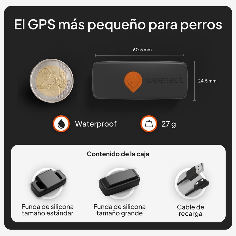 XS Dogs Noir ES 2026 7