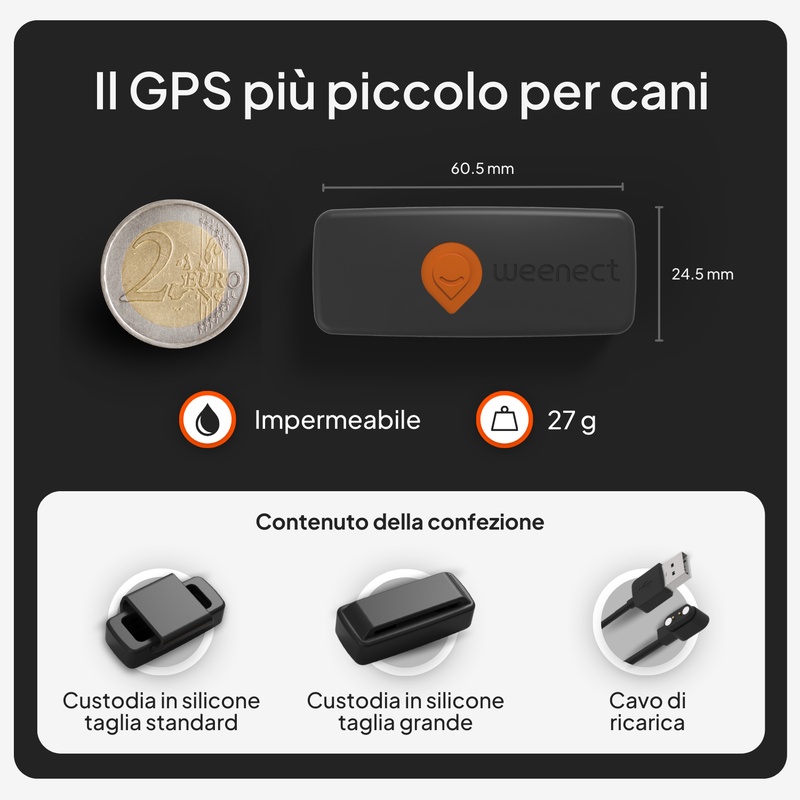 XS Dogs Noir IT 2026 7