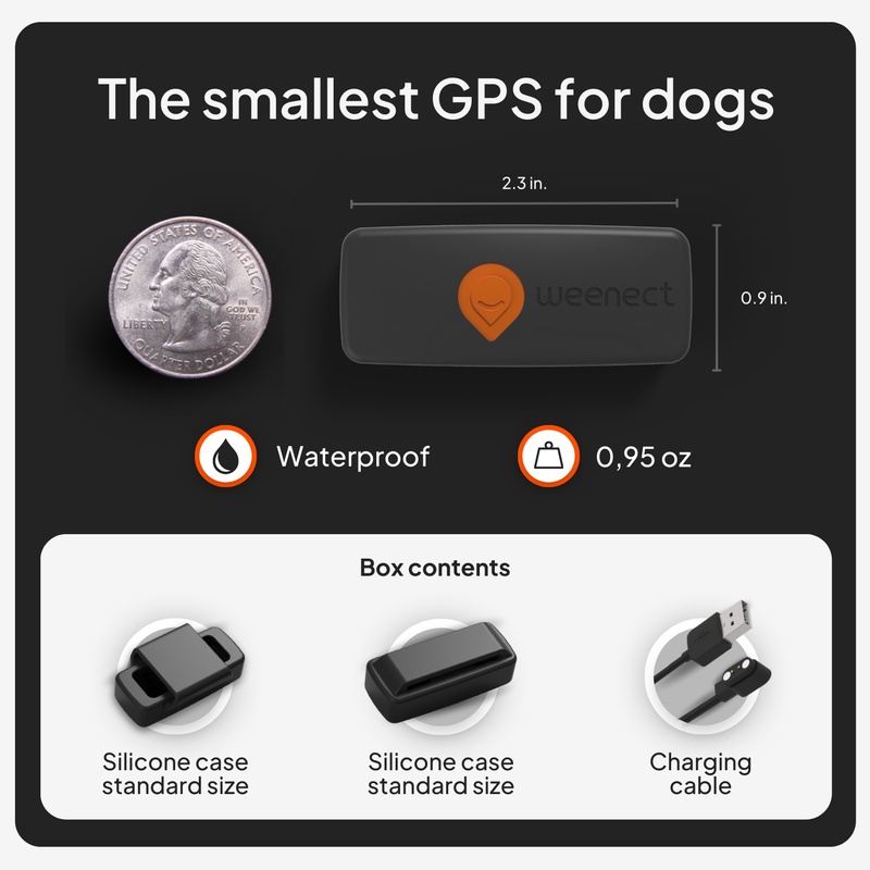 XS Dogs Noir US 2026 7