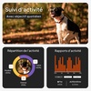 Chien portant le collier GPS Weenect XS en forêt, avec aperçu du suivi d'activité et des statistiques dans l'application
