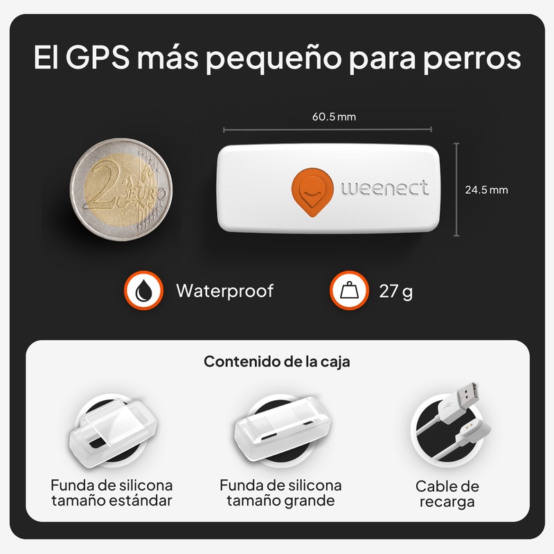 XS Dogs Blanc ES 2026 7