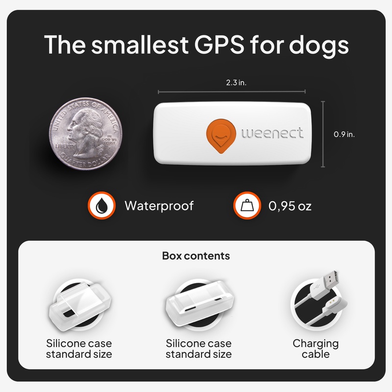 XS Dogs Blanc US 2026 7