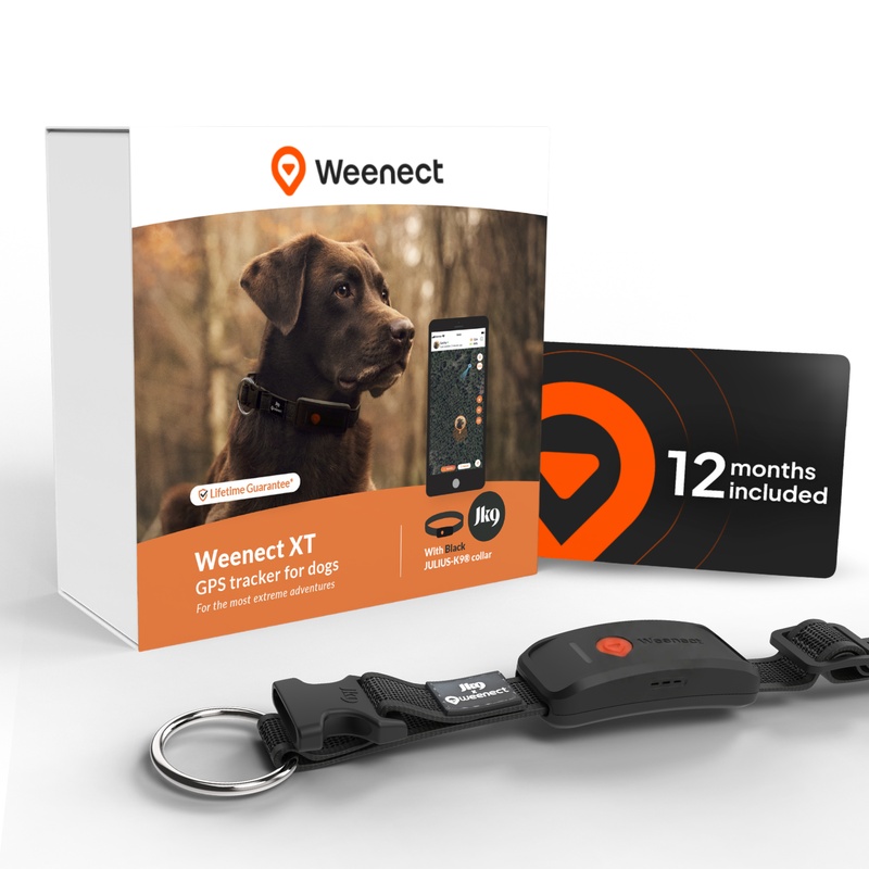 Bundle XT black EN