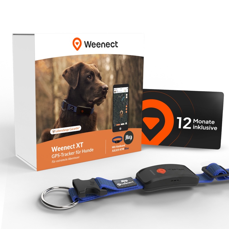 Bundle XT blue DE