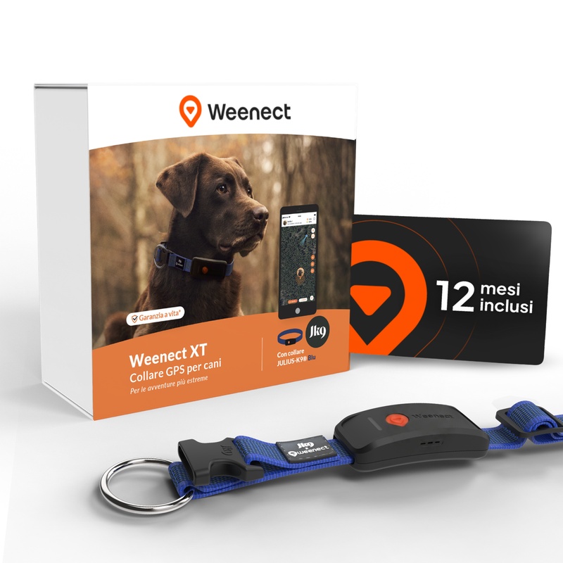 Bundle XT blue IT