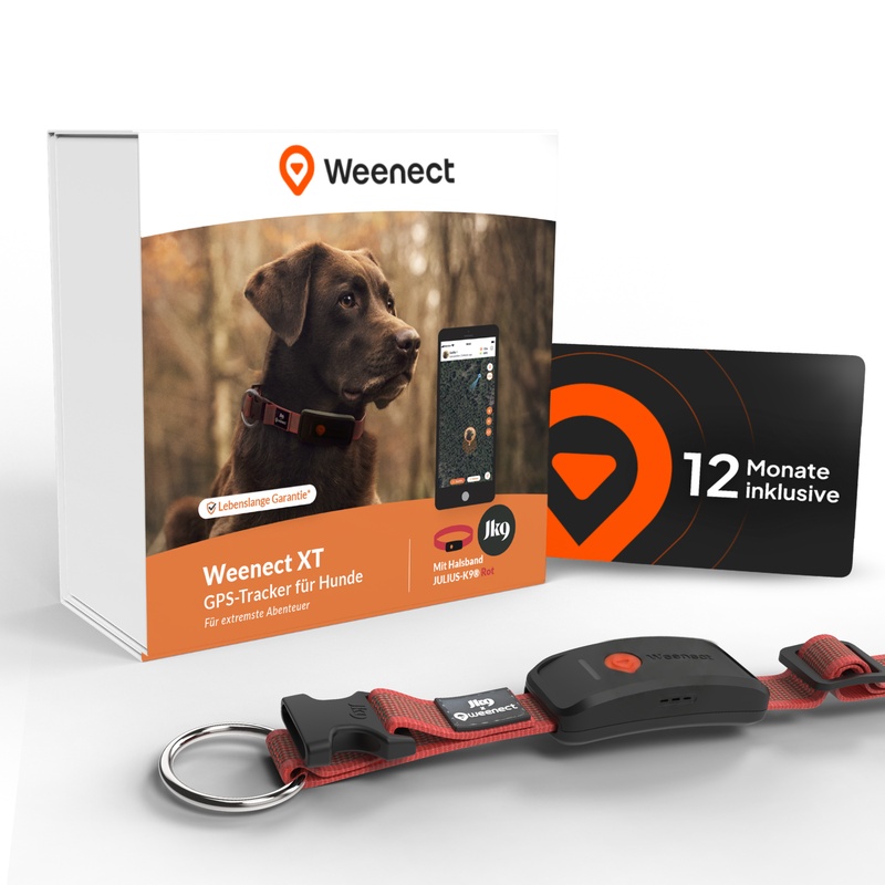 Bundle XT red DE