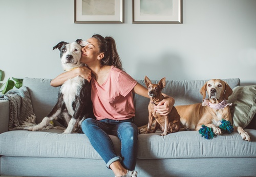 Dogsitter sitzt mit 3 Hunden auf einem Sofa