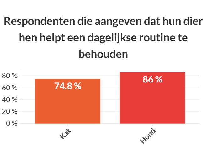 graphique illustrant les données au dessus
