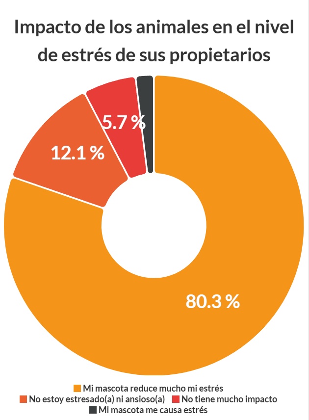graphique illustrant les données au dessus