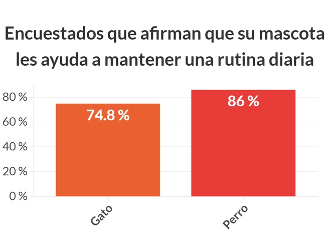 graphique illustrant les données au dessus