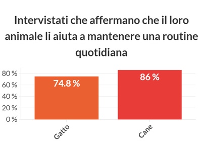 graphique illustrant les données au dessus