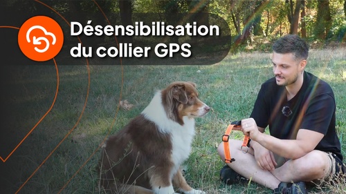 Chapitre 4 Nico - FR