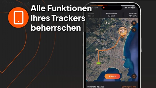 Nico with dog - video 3