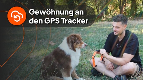 Nico with dog - video 4