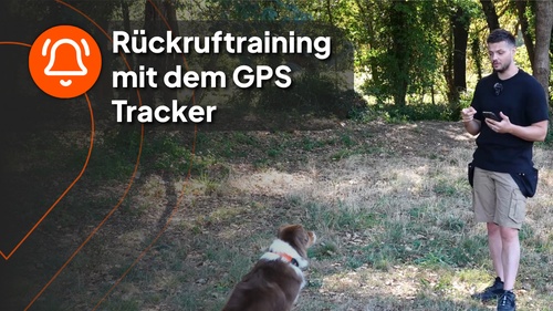 Nico with dog - video 5