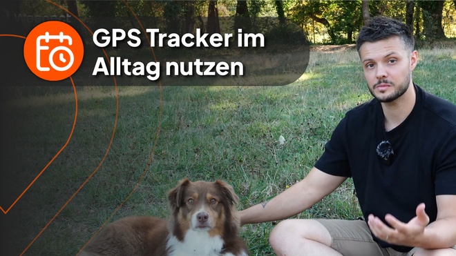 Nico with dog - video 6