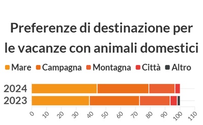 graphique illustrant les données precédentes