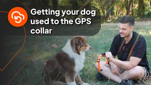 nico with dog - vidéo 4 (en)