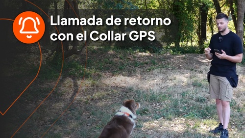 Nico with dog - video 5