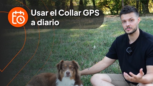 Nico with dog