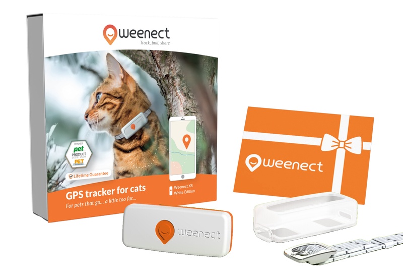 Eshop-Main Image-Cats-XS-Gift Card-UK-White