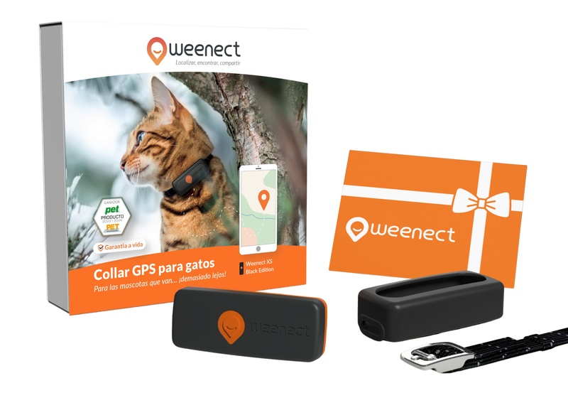 Eshop-Main Image-Cats-XS-Gift Card-ES-Black