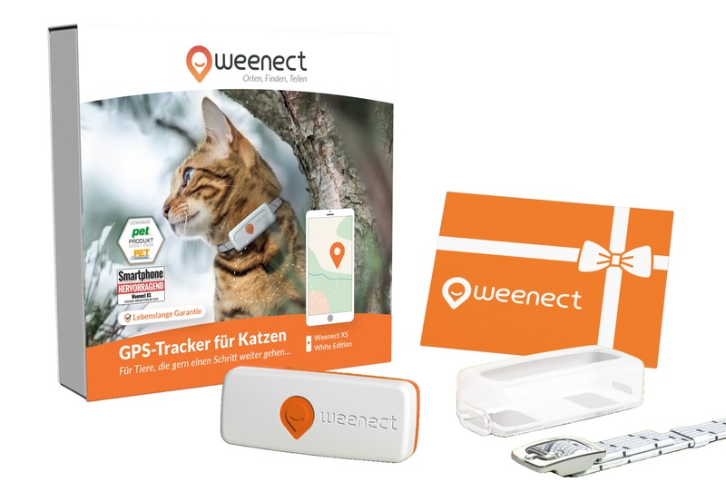 Eshop-Main Image-Cats-XS-Gift Card-DE-White